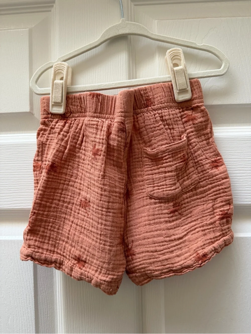 Bluey Polo + Shorts Palm Tree Set